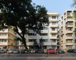 CARLOS ALBUQUERQUE CASTRO