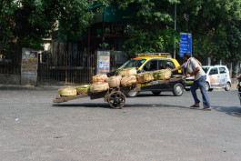 CARLOS ALBUQUERQUE CASTRO