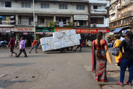 CARLOS ALBUQUERQUE CASTRO