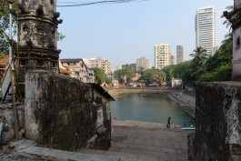 CARLOS ALBUQUERQUE CASTRO