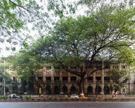 CARLOS ALBUQUERQUE CASTRO