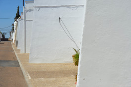 CARLOS ALBUQUERQUE CASTRO