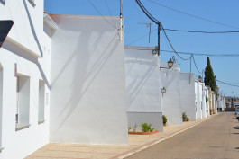 CARLOS ALBUQUERQUE CASTRO