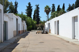 CARLOS ALBUQUERQUE CASTRO