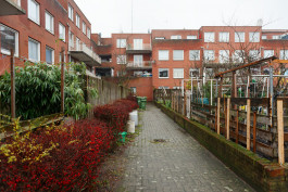 CARLOS ALBUQUERQUE CASTRO