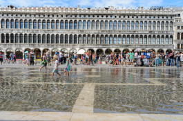 CARLOS ALBUQUERQUE CASTRO