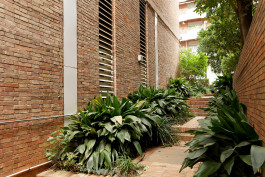 CARLOS ALBUQUERQUE CASTRO